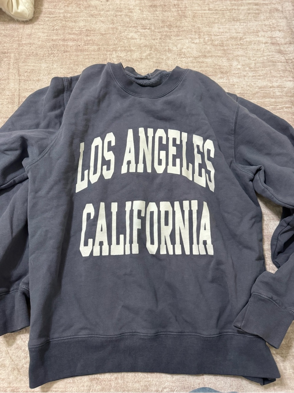 Brandy melville los angeles sweatshirt